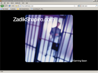 ZadikShapiro.com | Attorney at Law